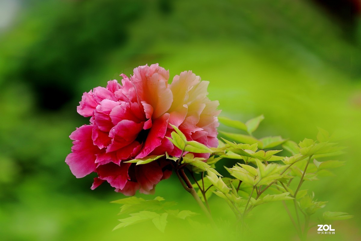 祝祖国生日快乐！繁荣昌盛！