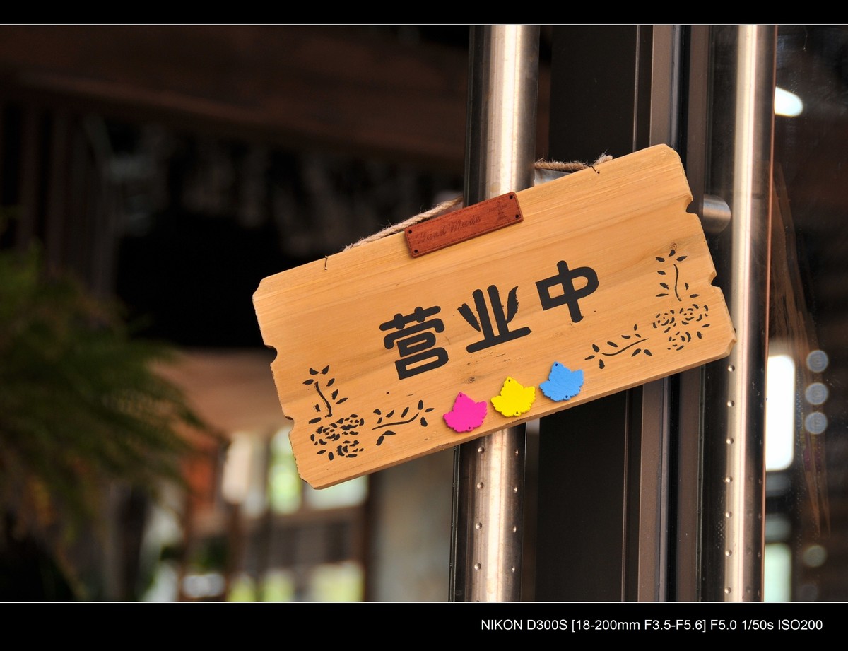 新入尼康18-200VR试镜；画质细腻锐利，色彩鲜艳饱满，好头！