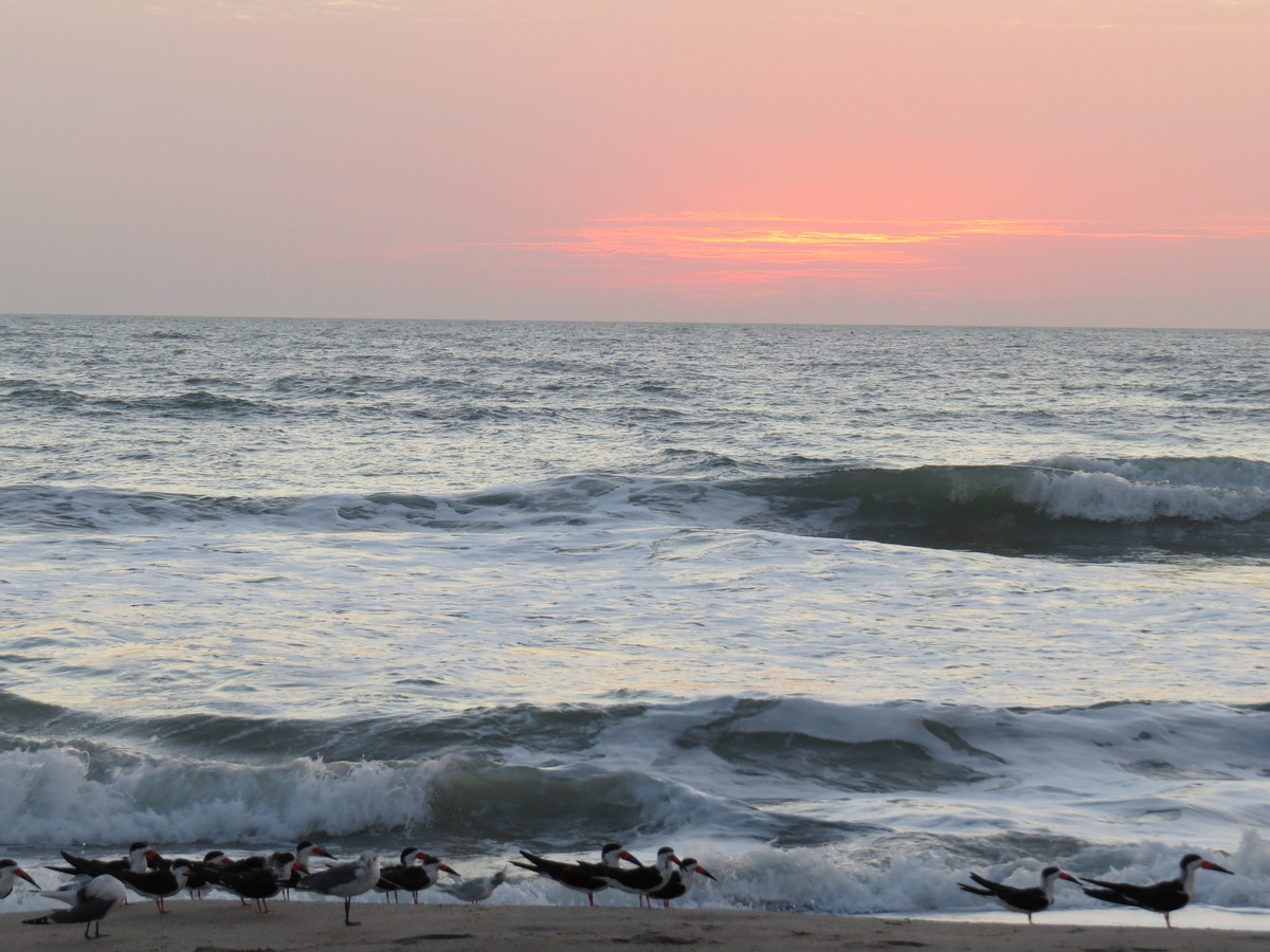 现拍现传海上日出10张