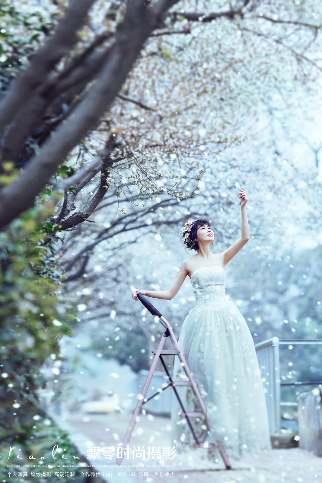 海棠花开的季节—飘零时尚摄影