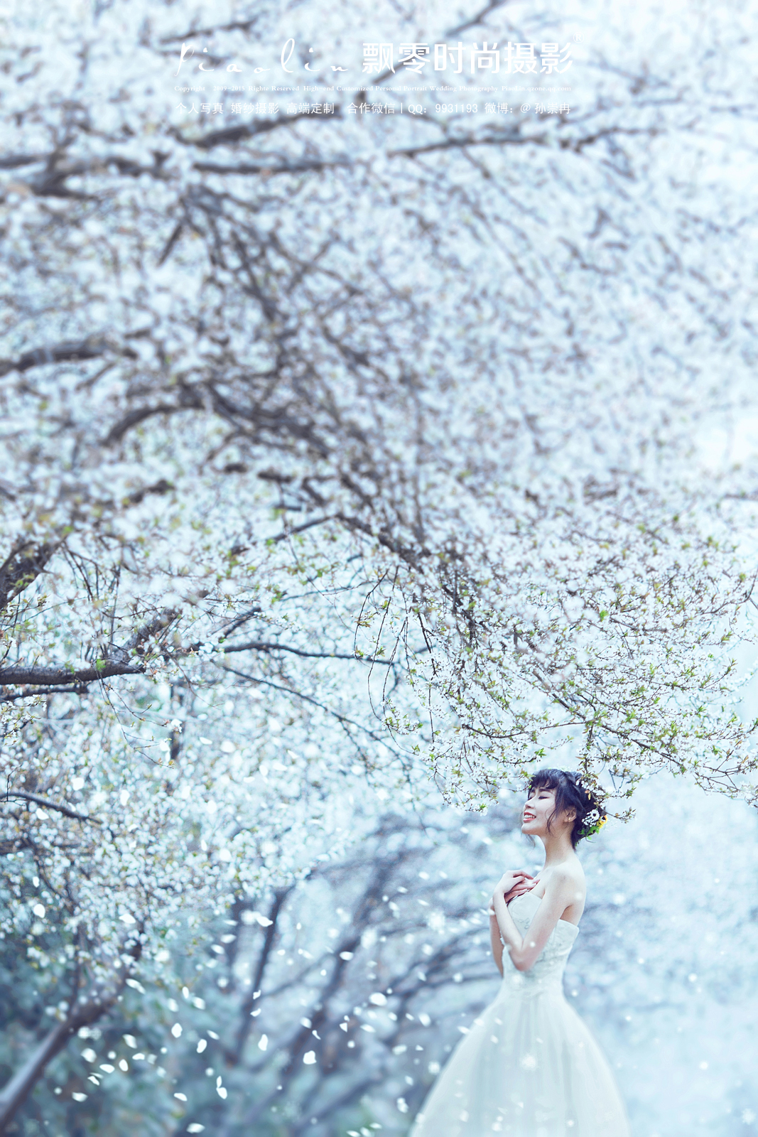 海棠花开的季节—飘零时尚摄影