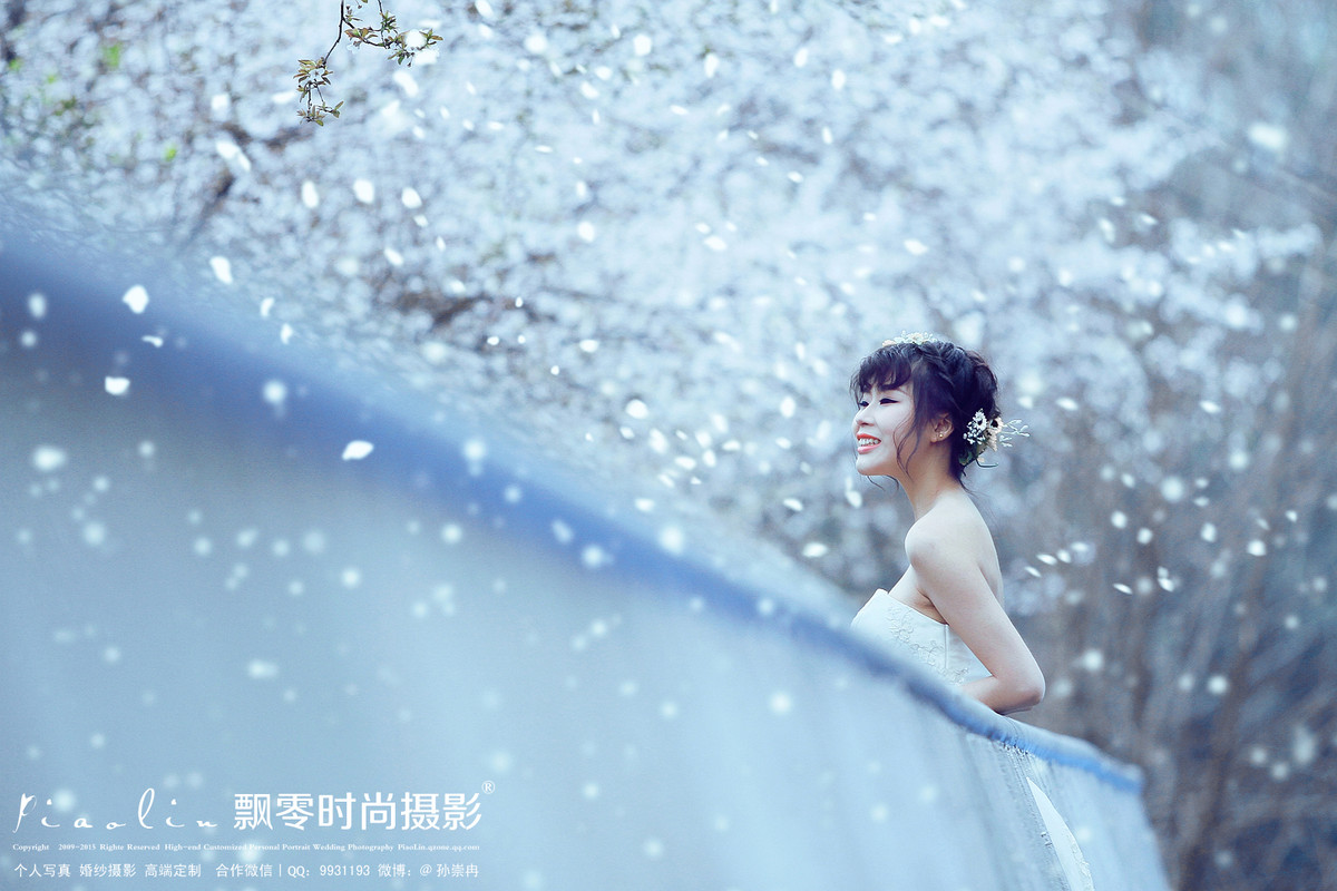 海棠花开的季节—飘零时尚摄影