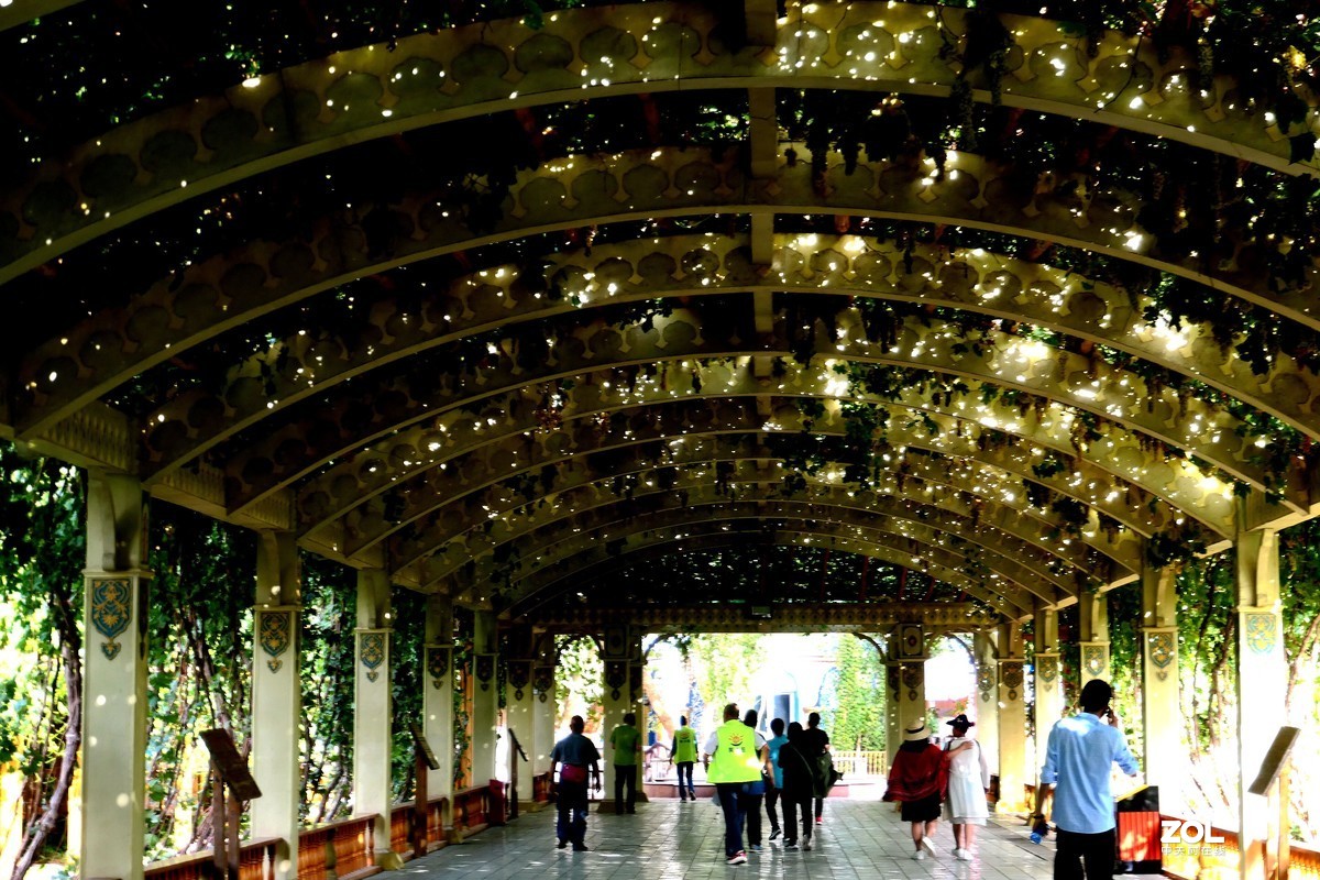 葡萄沟、一佰零三岁老爷爷拍照十元钱、多多、他乐了