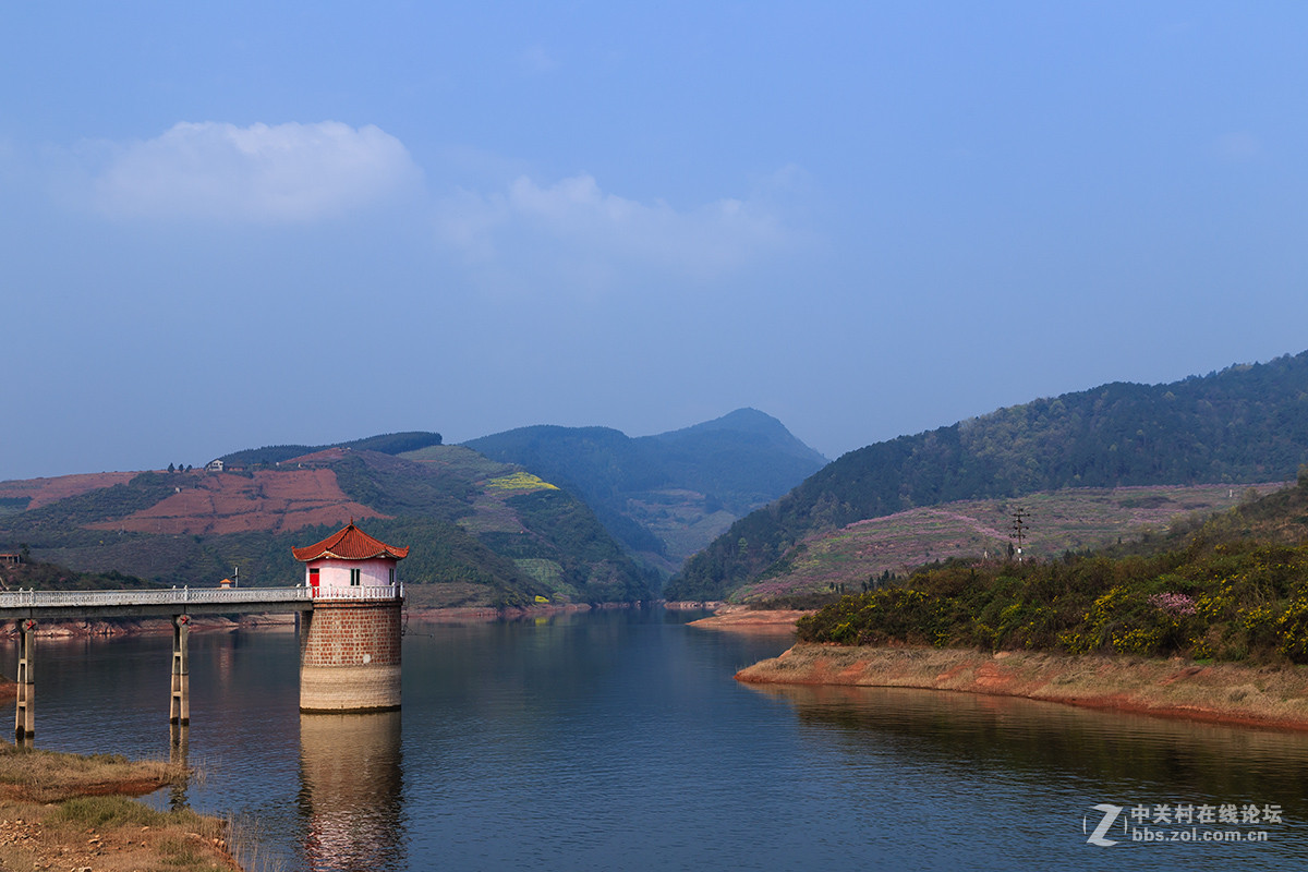 丹棱梅湾湖赏花