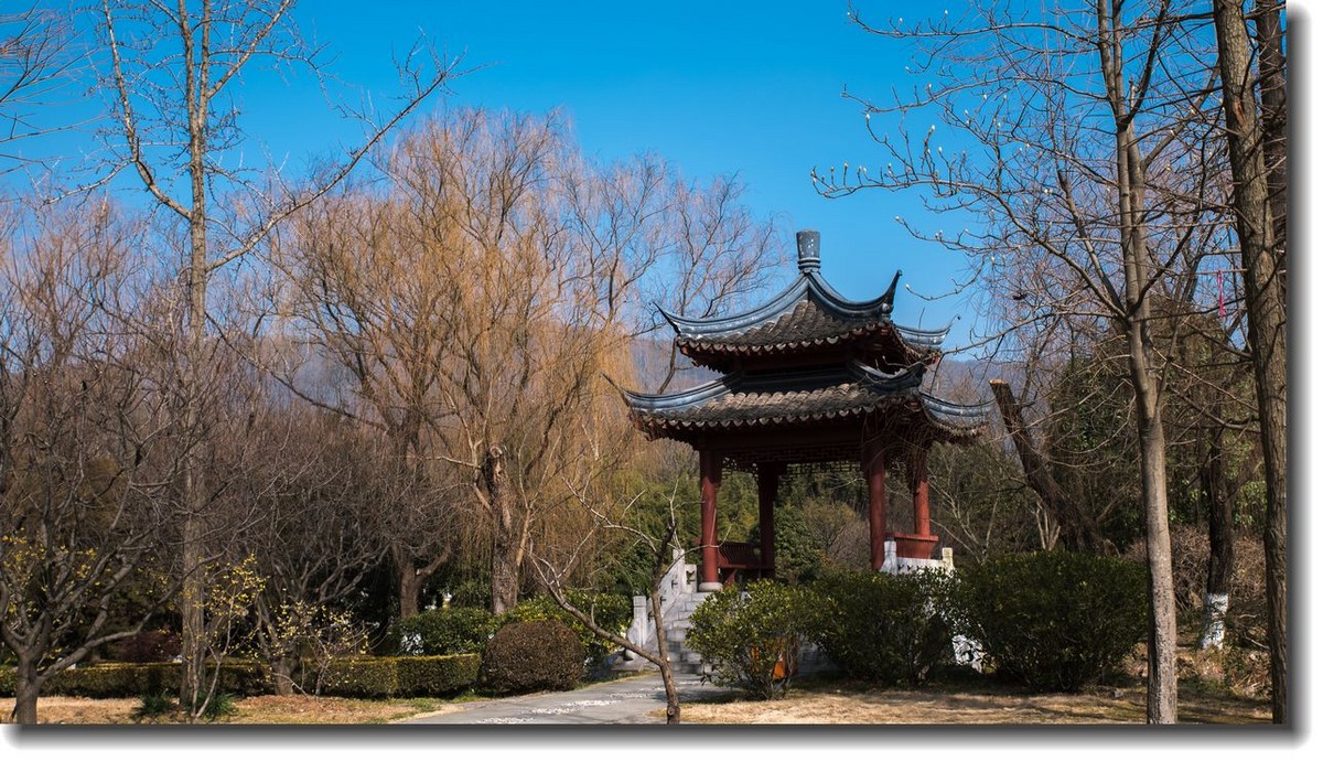 冬天的风景（11）