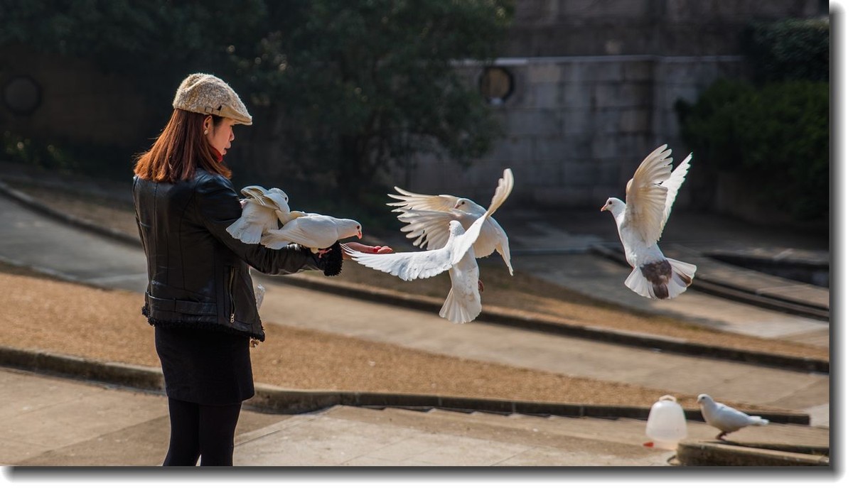 冬天的风景（11）