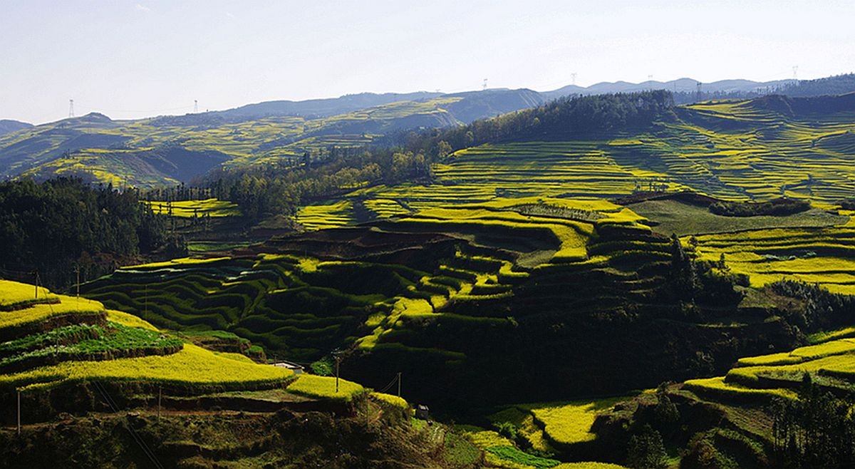 大山风情（二）
