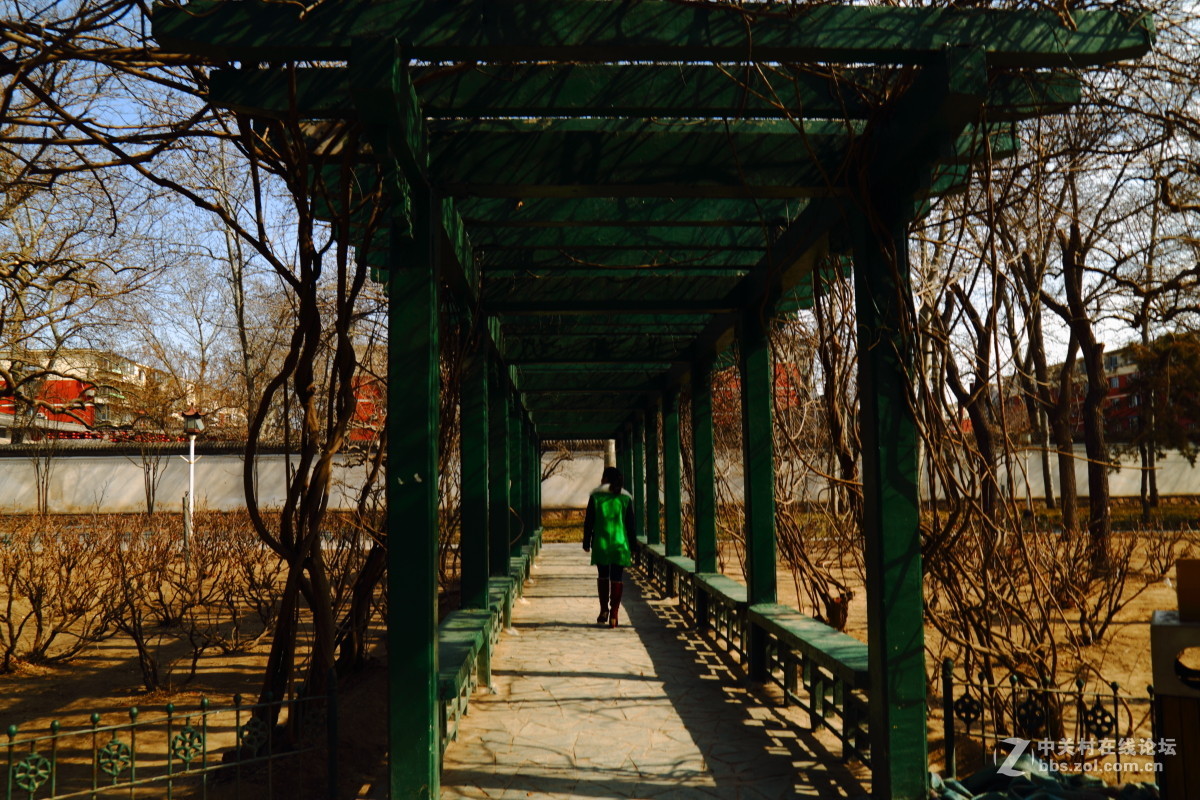 分享蓝天、白云的好天气！