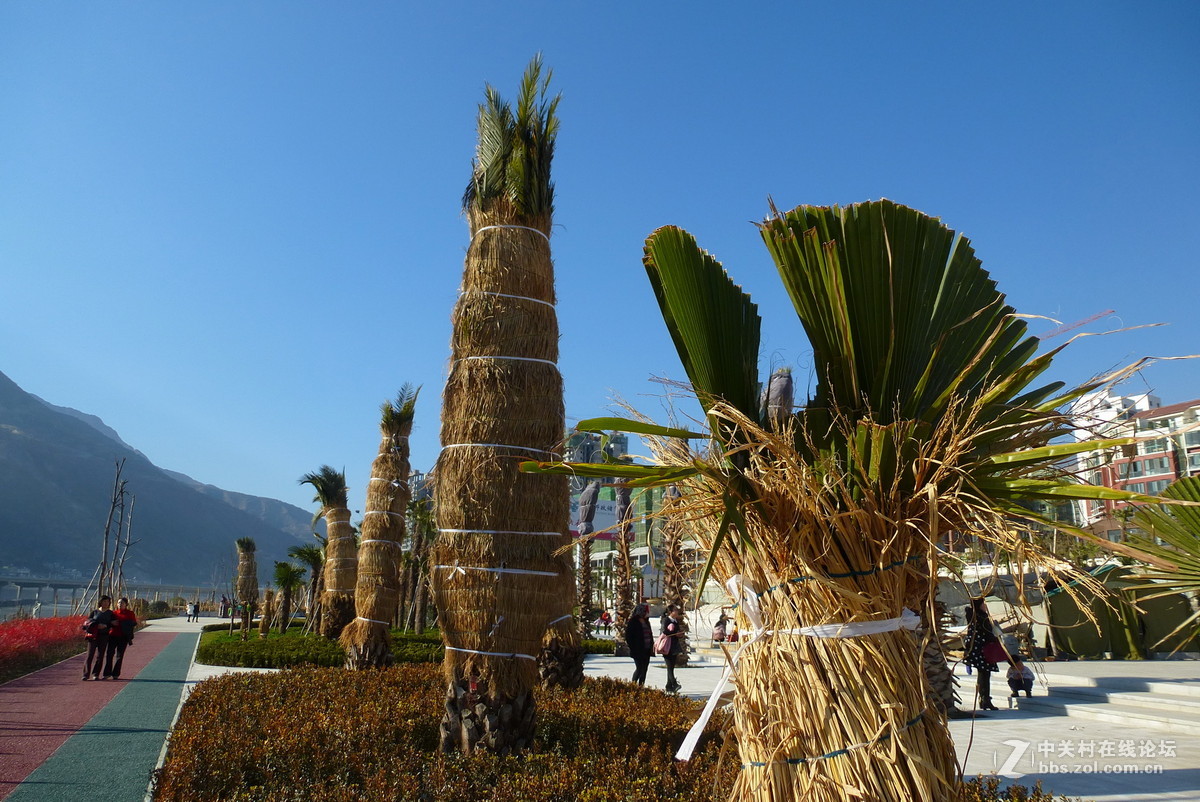 公园里，感想，感拍！