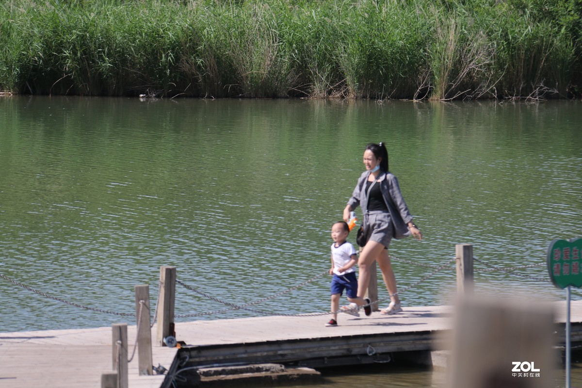 逛香山公园随拍