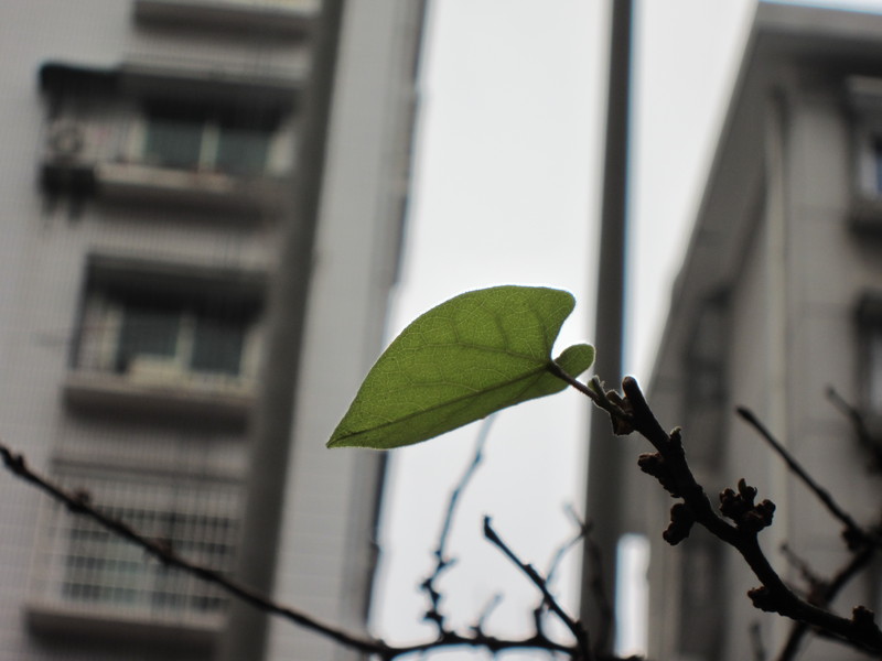 比一比