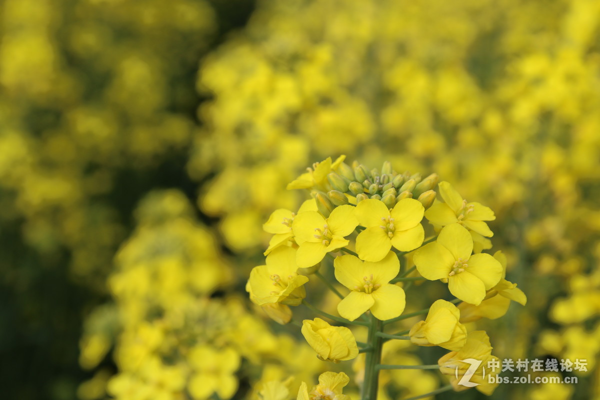 #回家#过年的本质——常回家看看