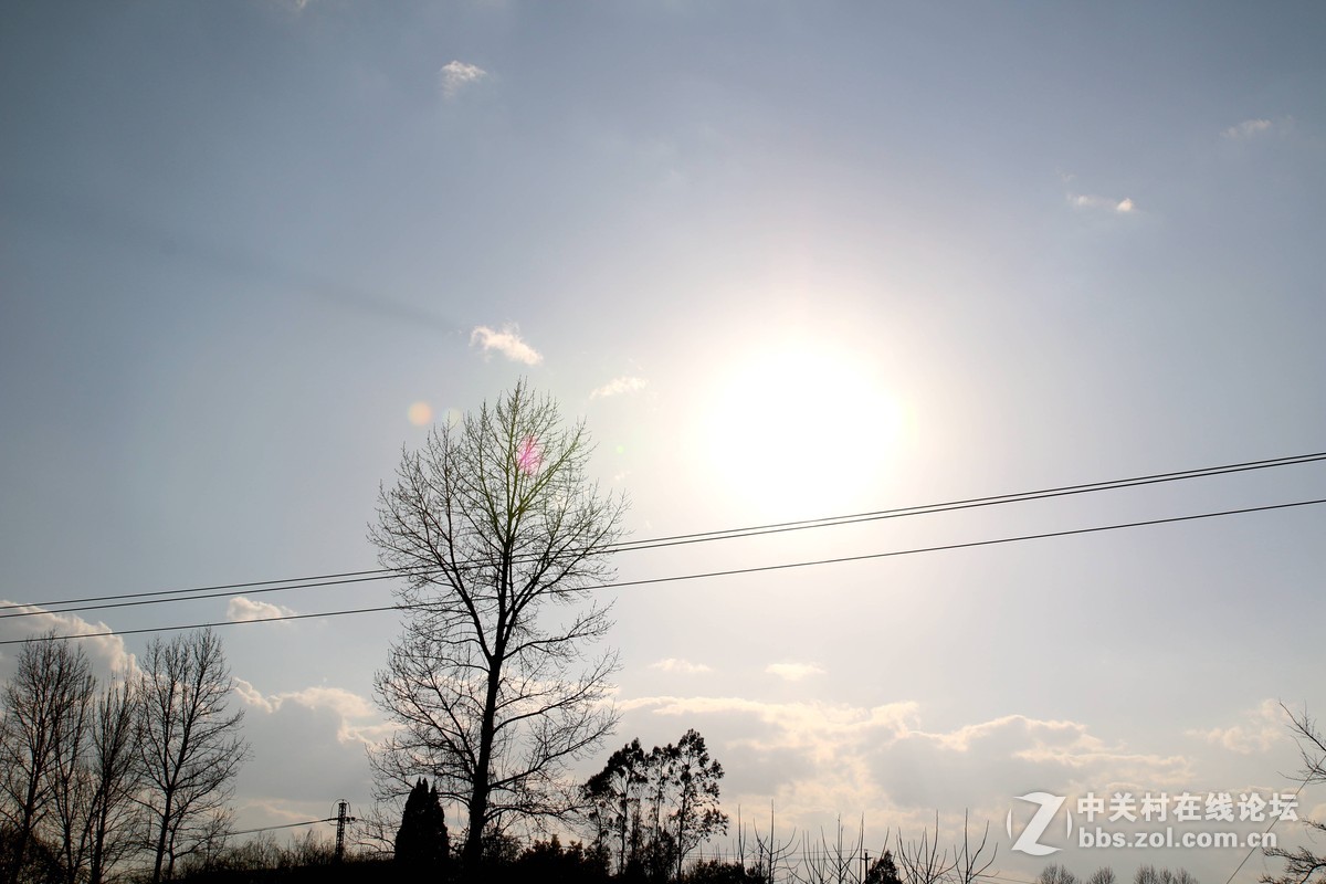 #回家#过年的本质——常回家看看