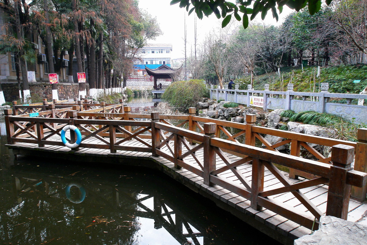 汉阳公园的早晨！