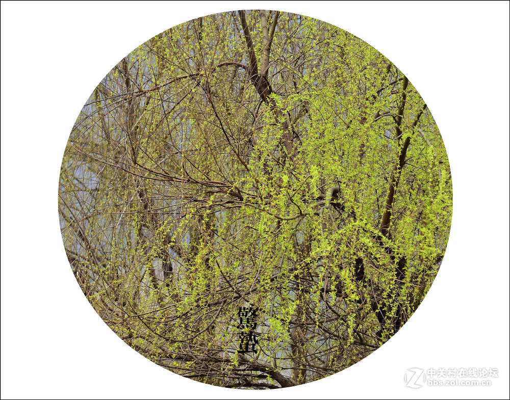 二十四节气之 惊蛰