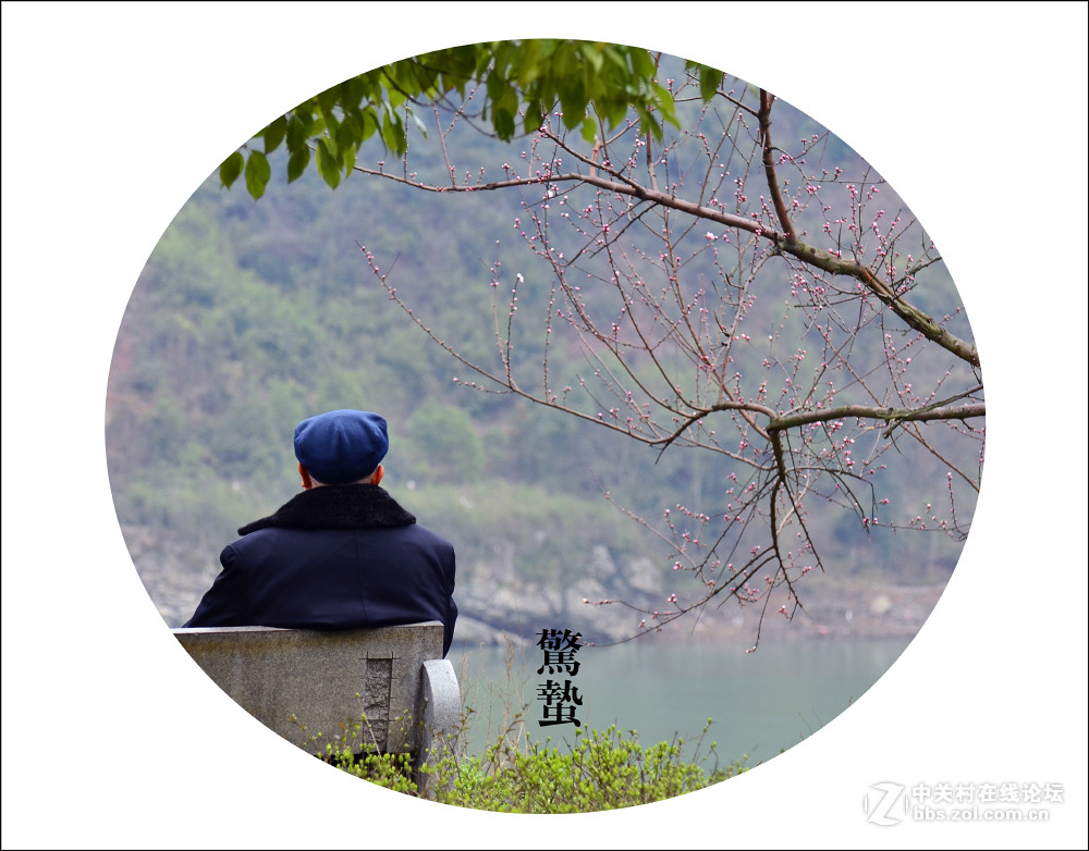 二十四节气之 惊蛰