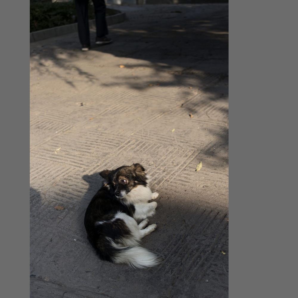 #尼康纪实类作品赏析#第6期《游走在城市的大街小巷》