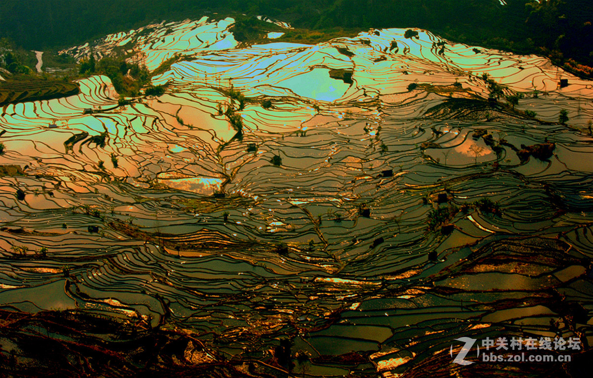 【东川红土地、元阳、弥勒 六日摄影之旅】乐叔走后的元阳一