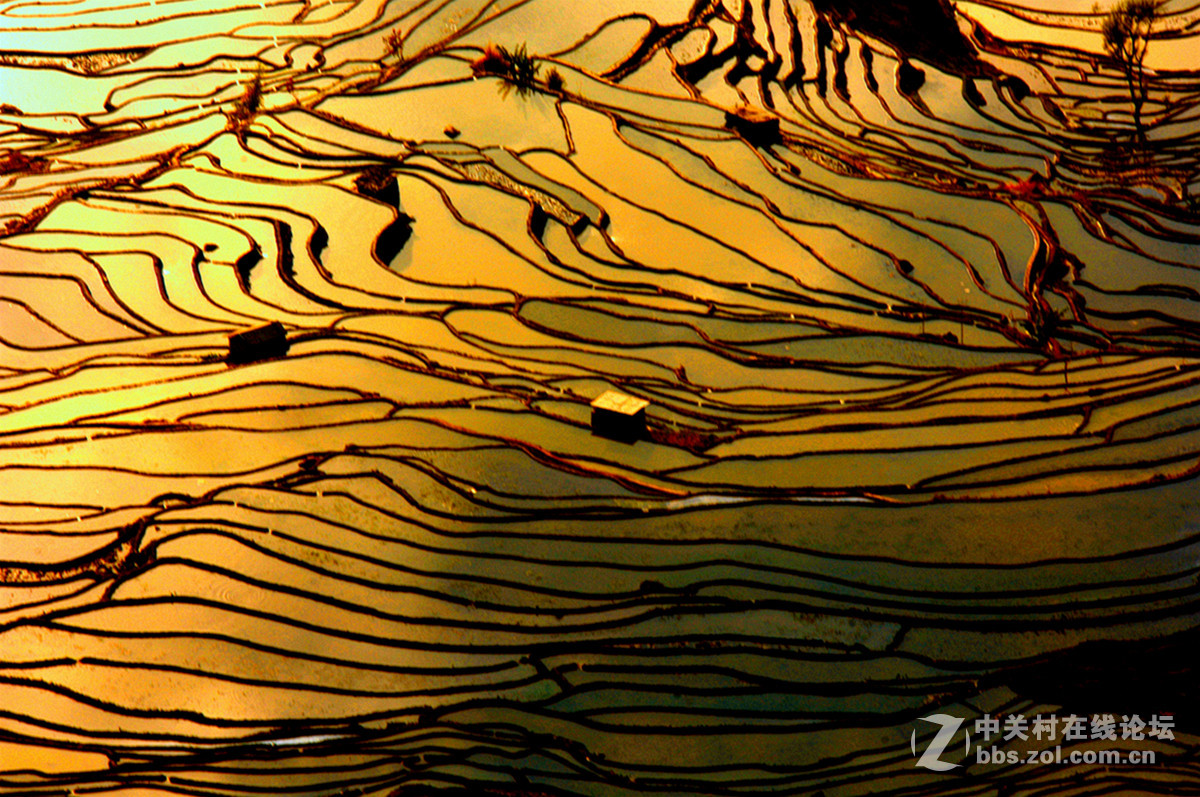 【东川红土地、元阳、弥勒 六日摄影之旅】乐叔走后的元阳一