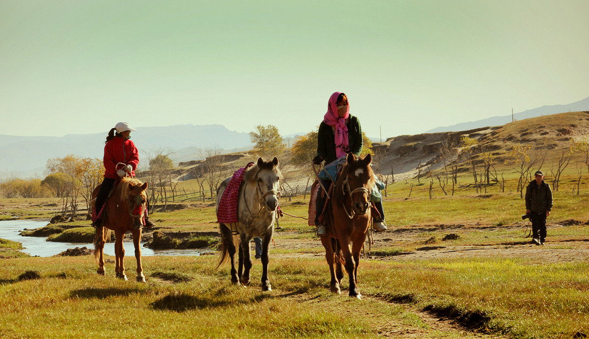 ZOL金秋乌兰布统深度摄影作业（六十三）拍摄花絮／中
