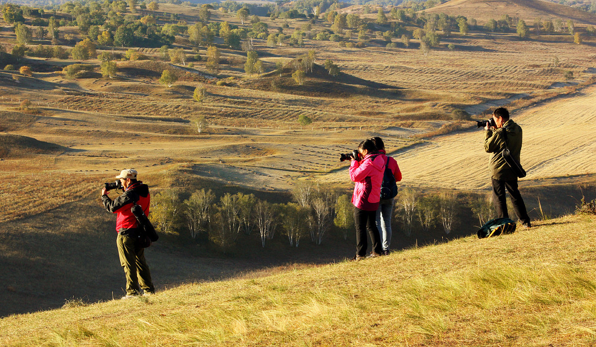 ZOL金秋乌兰布统深度摄影作业（六十三）拍摄花絮／中