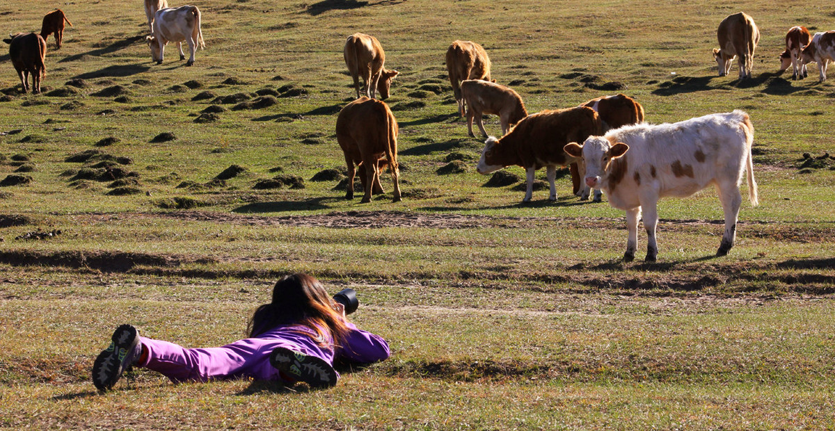 ZOL金秋乌兰布统深度摄影作业（六十三）拍摄花絮／中