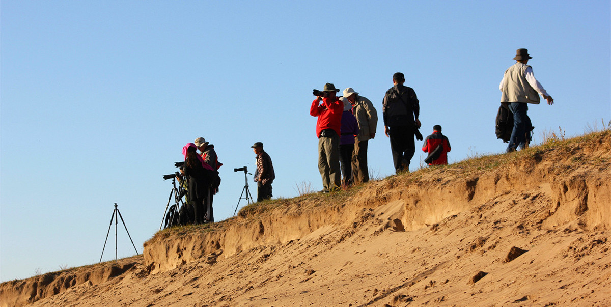 ZOL金秋乌兰布统深度摄影作业（六十三）拍摄花絮／中