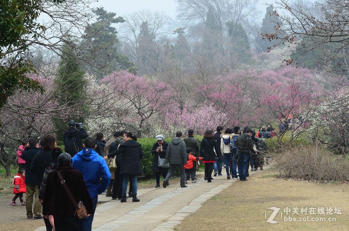节日南京