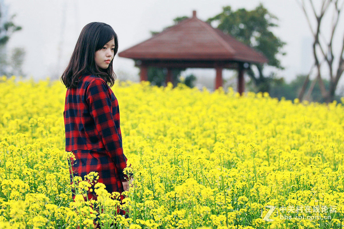 黄花大闺女佳欢二