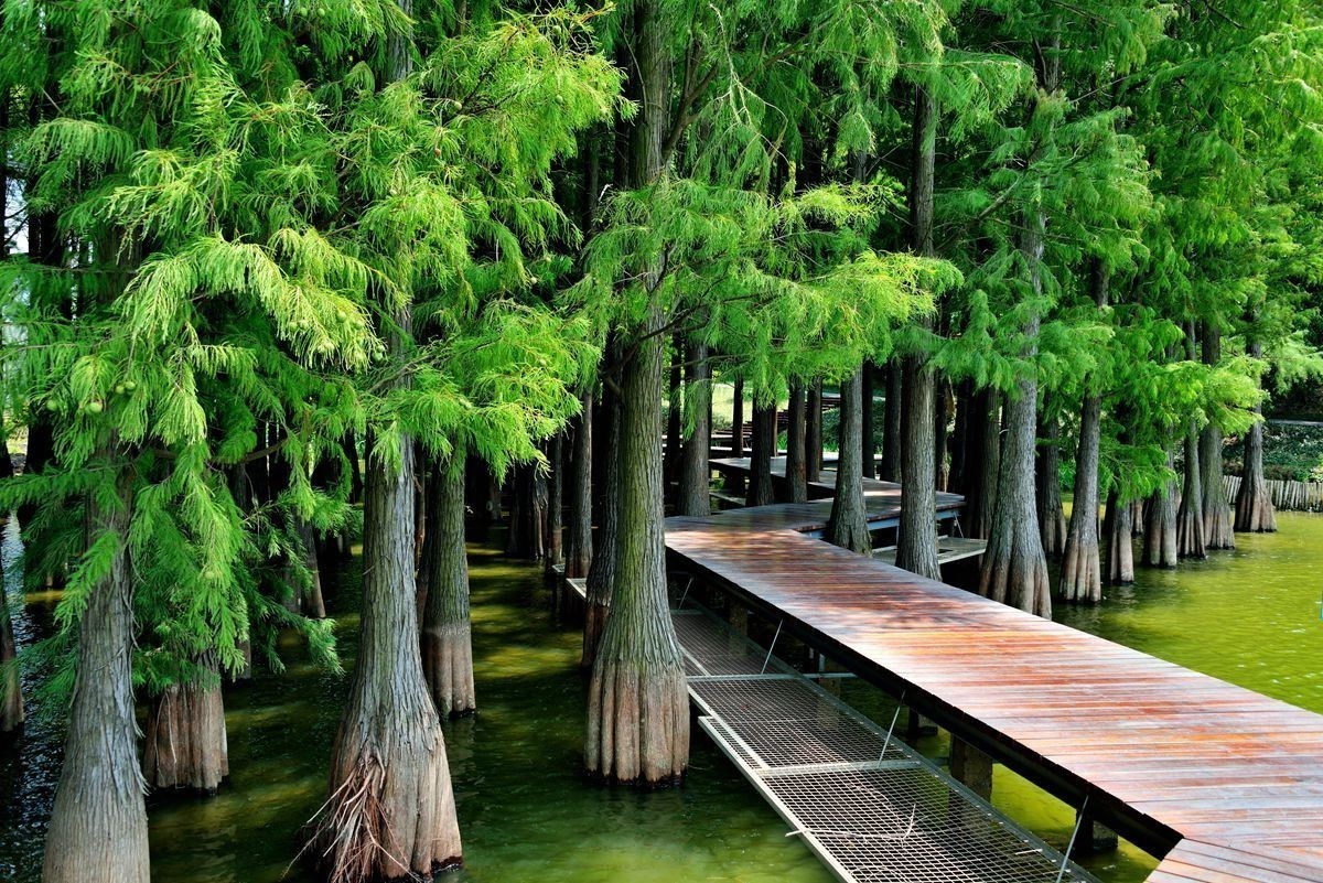 2019年8月14日游马鞍山市采石矶，D800+28-300拍摄