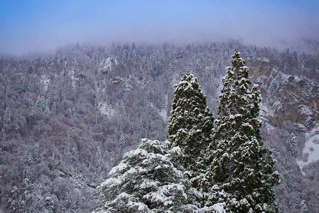 #雪来了# EOS感受冬天的魅力