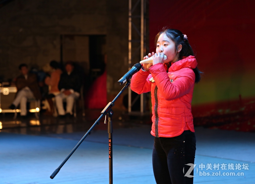 2015陶笛音乐晚会（10幅）