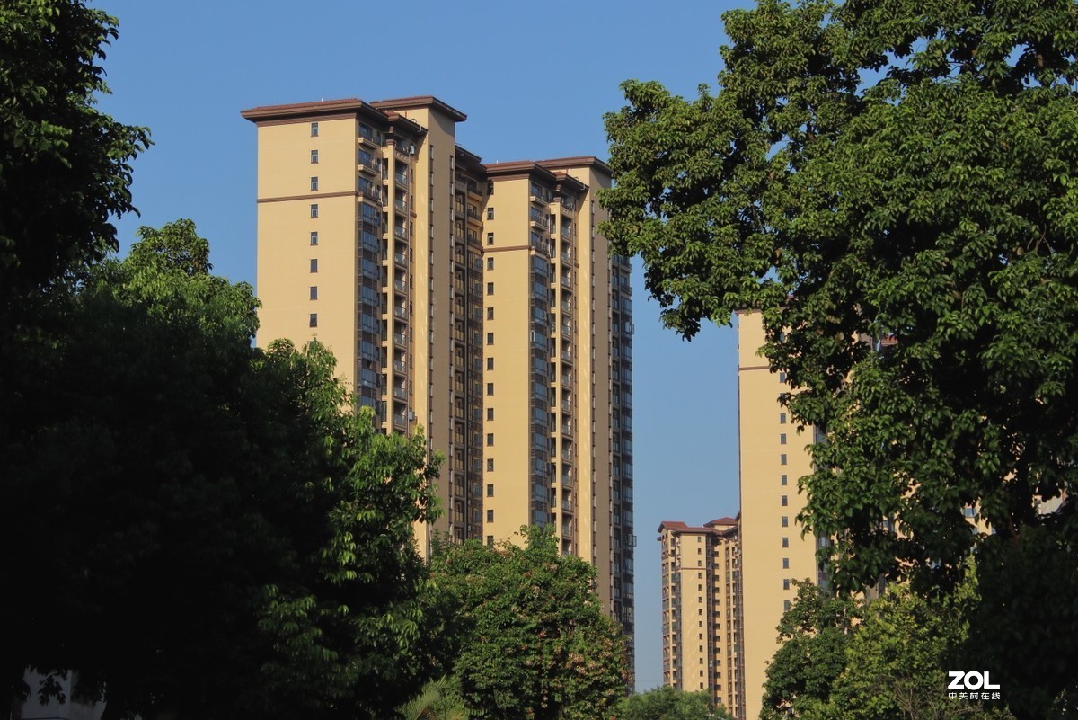 调高了机内锐度，出片硬朗不少