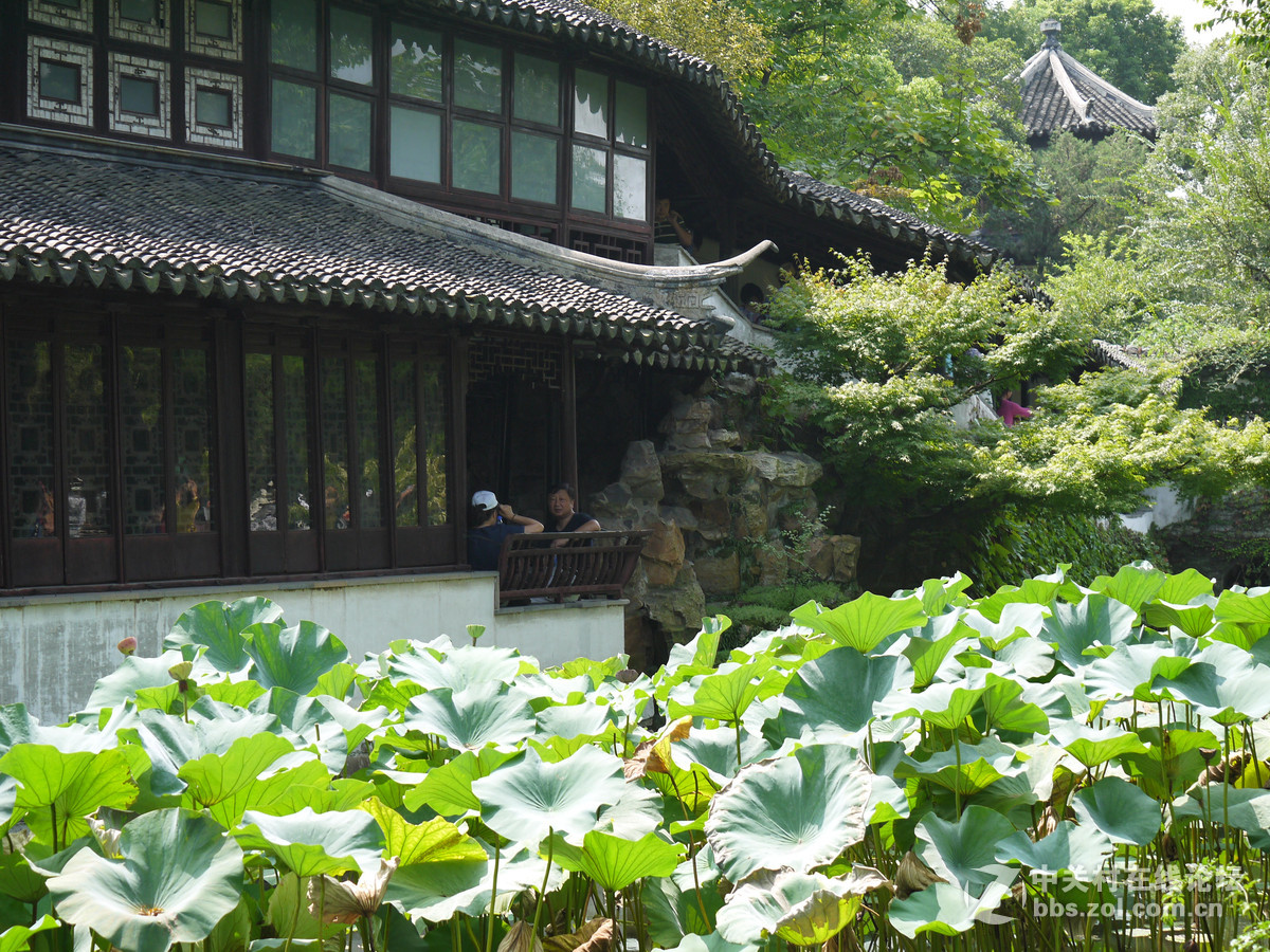 8月游江苏  直出