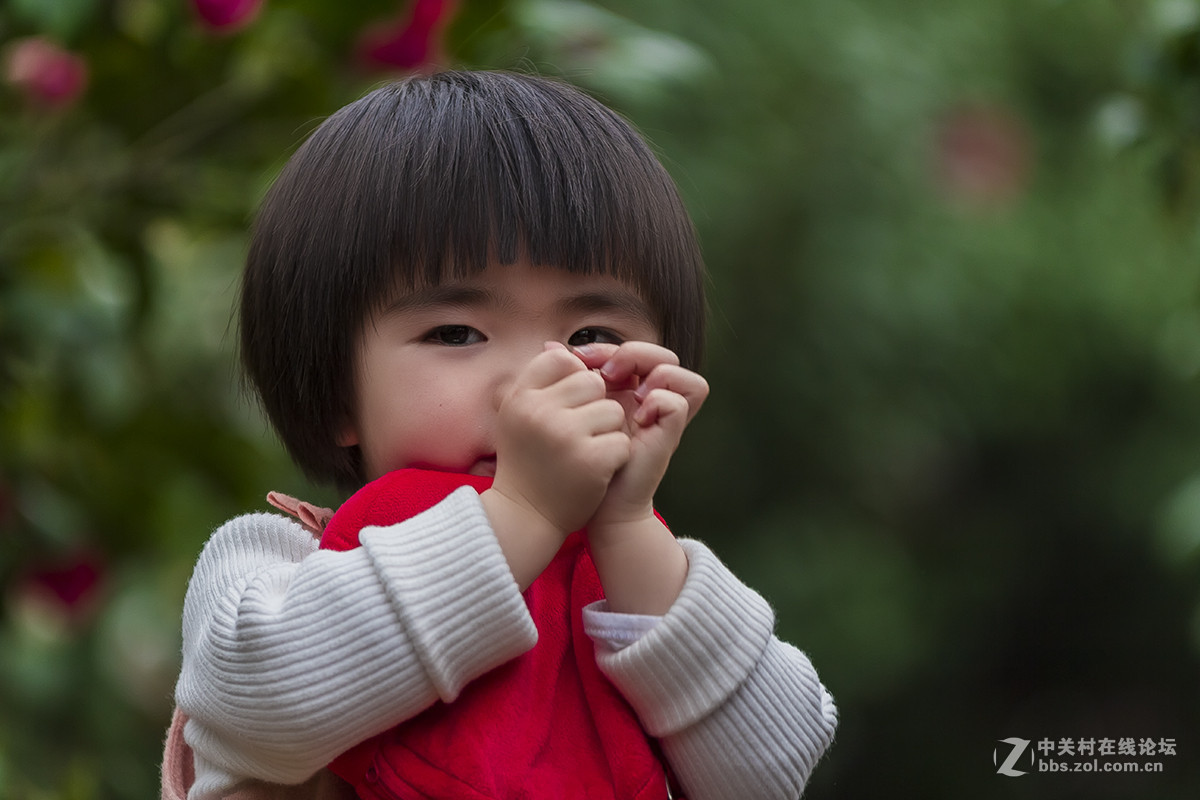 新年第一帖,祝各位好友新年事事如意.