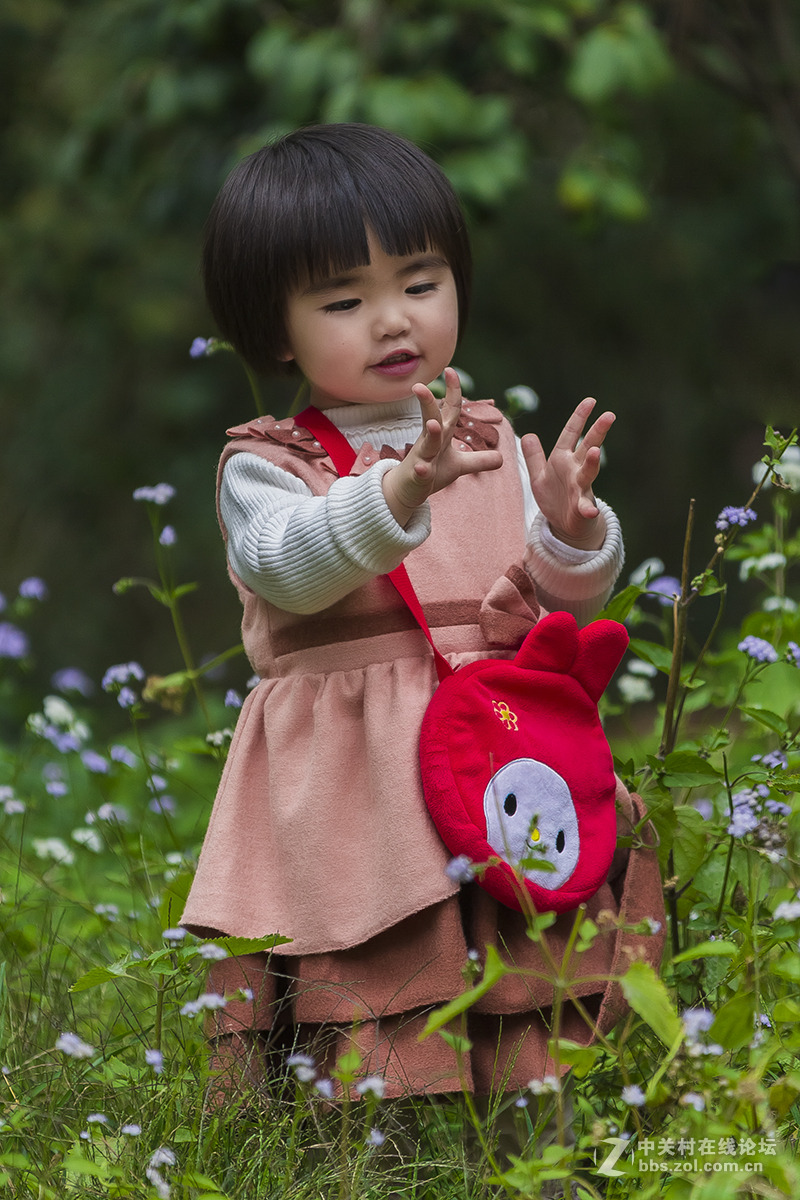 新年第一帖,祝各位好友新年事事如意.