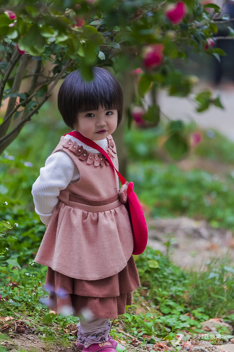 新年第一帖,祝各位好友新年事事如意.