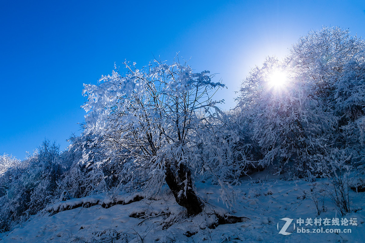 九鼎山太子嶺雪景-中關村在線攝影論壇