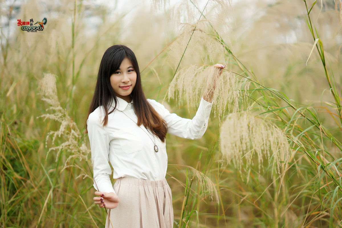 冬日芦苇少女茵茵