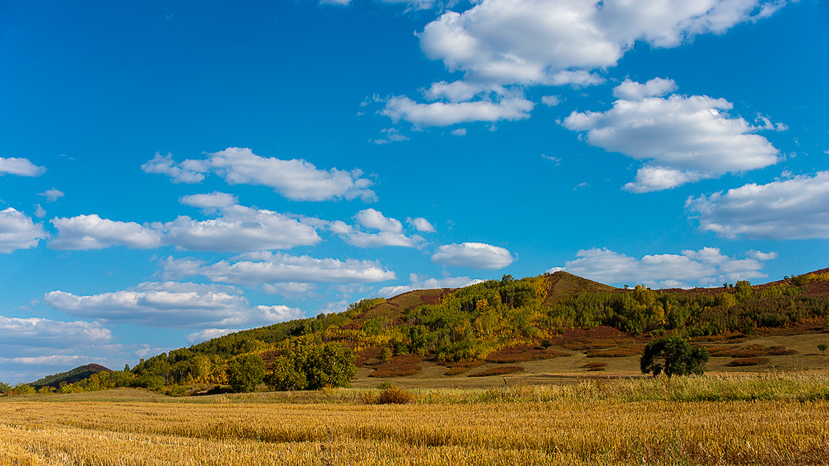 笑婆婆坝上行----蓝蓝的天上白云飘