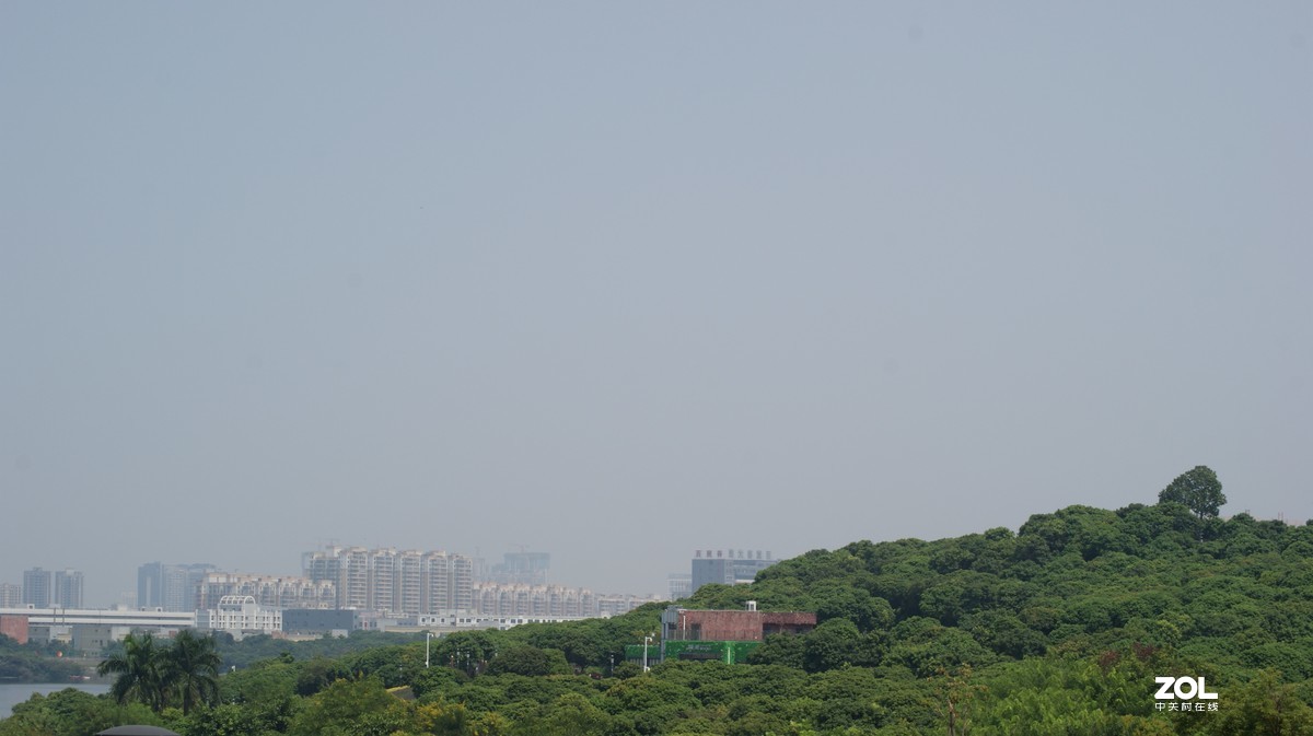 望牛亭公园之《技繁叶茂》