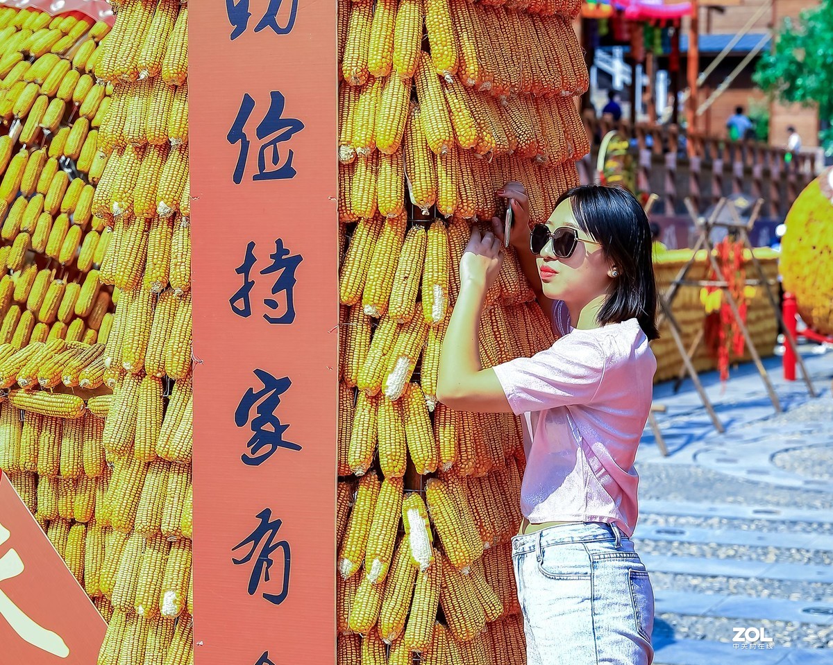 晒秋1——晒出红红火火的好日子