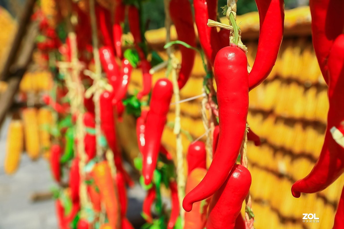 晒秋1——晒出红红火火的好日子