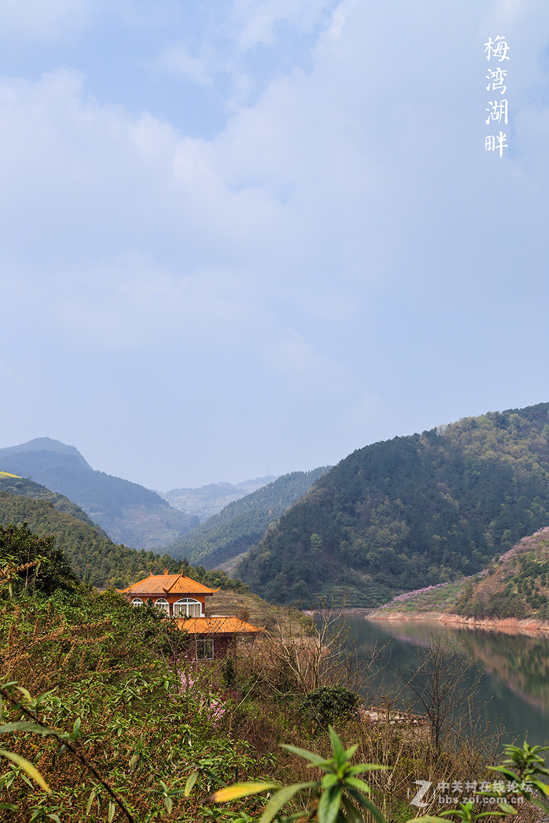 丹棱梅湾湖赏花