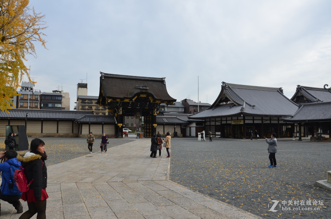 新婚日本本州蜜月之旅