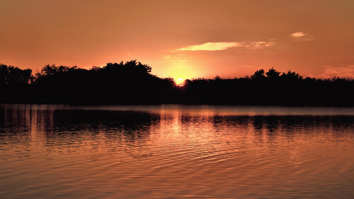 一组《日出》祝日照星空(中国)一周年同时祝三位版主和朋友新年快乐