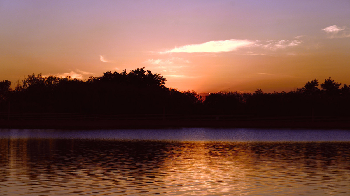 一组《日出》祝日照星空(中国)一周年同时祝三位版主和朋友新年快乐