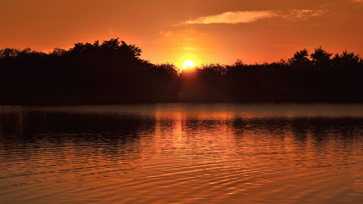 一组《日出》祝日照星空(中国)一周年同时祝三位版主和朋友新年快乐