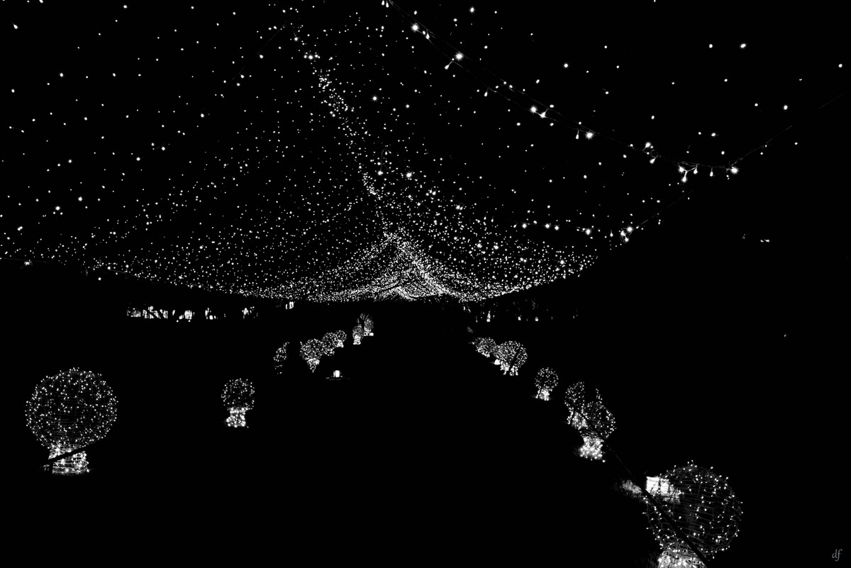 #春节美好瞬间#成都金沙太阳节（二）