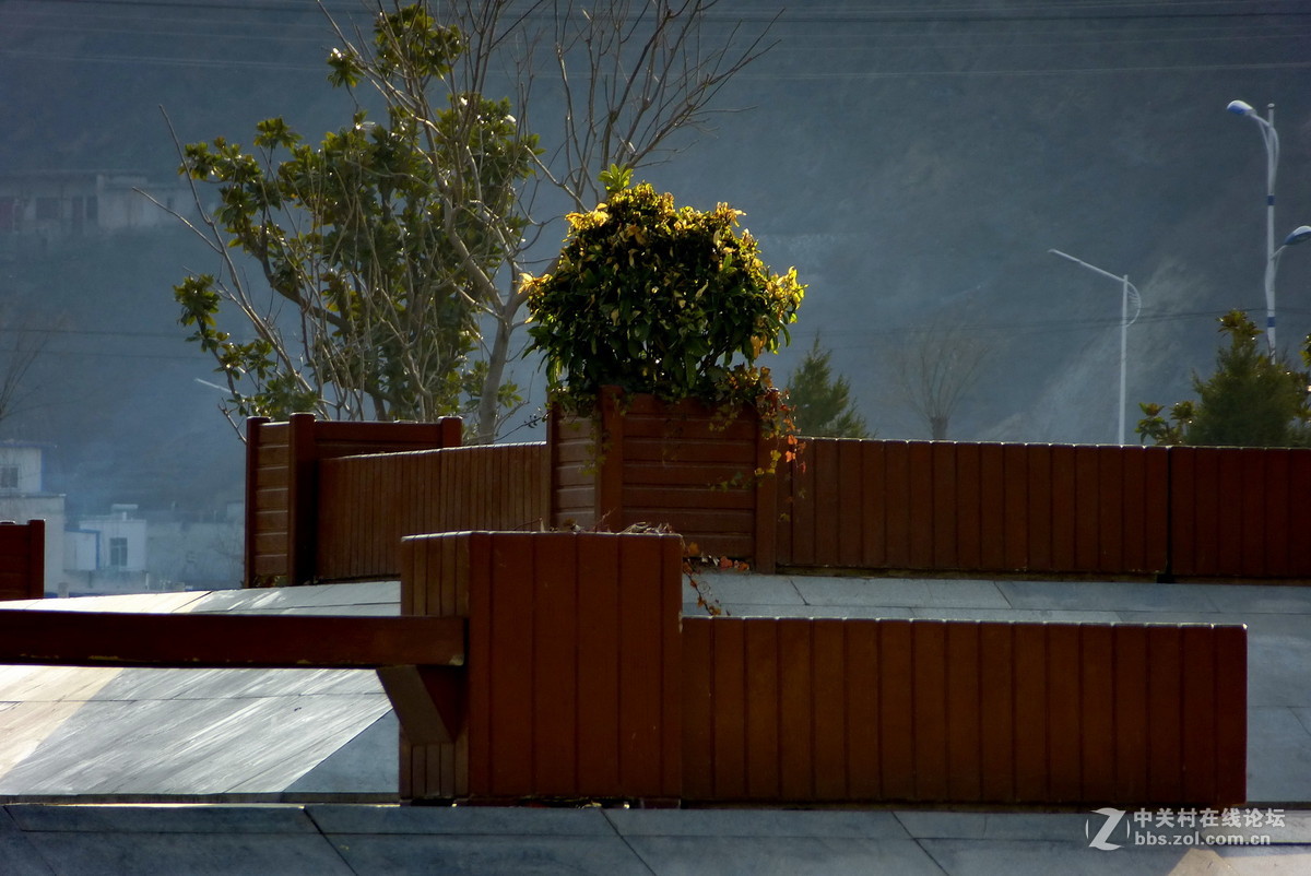 公园里，感想，感拍！